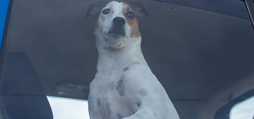 Car Lockout Solutions in Chico, California